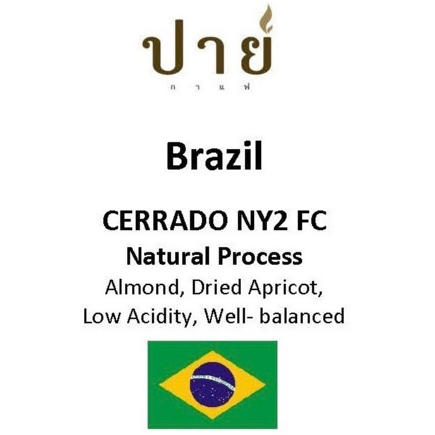 เมล็ดกาแฟ BRAZIL CERRADO NY2 FC Natural โรงคั่วปายกาแฟ Taste Noted Almond,Dried Apricot, Low Acidity, Well- balance