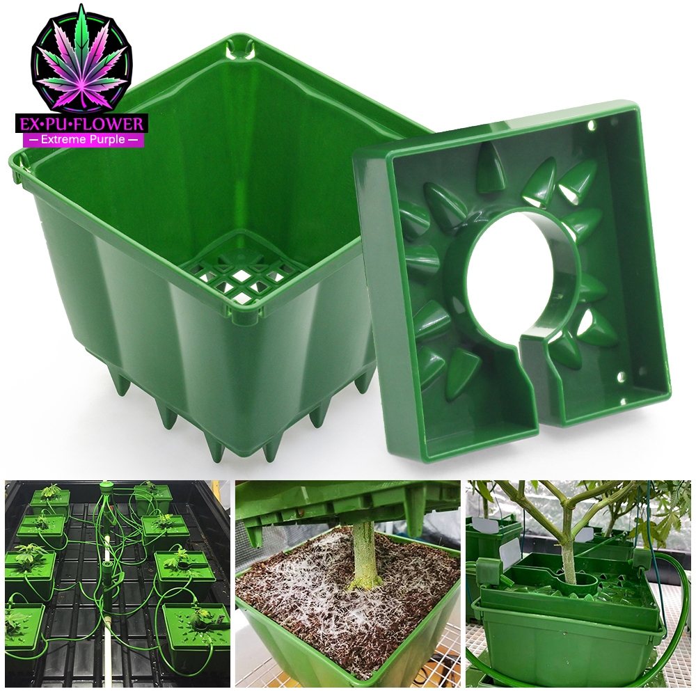 [มาใหม่] ถาดรดน้ำ กระถาง 4/6/8 นิ้ว กระถางเพาะชำ ถาดรดน้ำ Drip cap พร้อมตัวรัดสาย 2 ตัว ถาดช่วยรดน้ำ