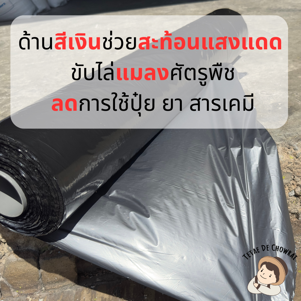 พลาสติกคลุมดิน ดำ-เงิน เกรด B หนา 30 - 35 ไมครอน หน้ากว้าง 1.5/1.2/1.0/0.8 เมตร ยาว 400เมตร ผ้ายาง ตราเตเต้เดอชาวไร่ - รูปที่ 2