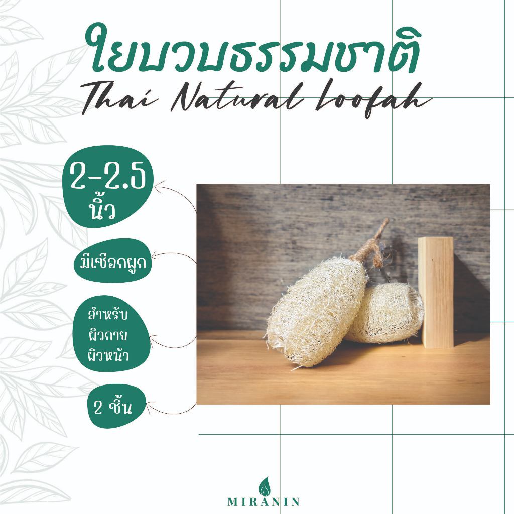 ใยบวบจิ๋ว 2 - 2.5 นิ้ว ใยบวบขัดผิวพร้อมเชือกผูก แพ็คคู่ Thai natural loofah