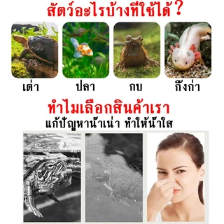 กรองน้ำเต่า 3W เครื่องกรองน้ำ ตู้ปลา เต่า อัตราการไหล 240L/H กรองน้ำให้ใสสะอาด สุขภาพสัตว์น้ำดี เสียงเงียบ กินไฟน้อย