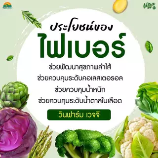[โปร4 แถม 5]WynnFarm Veggie ฟรี! วิตามินC 1 กล่อง เวจจี ผงผักรวม30ชนิด วิตามินสูง ช่วยขับถ่าย