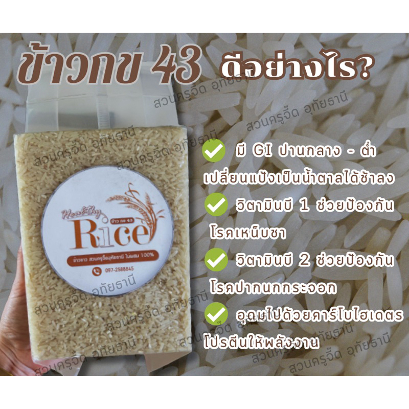 ข้าวขาว กข43 แท้ๆ100%