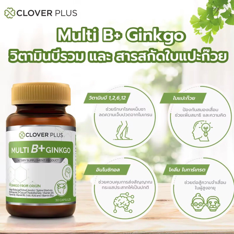 Clover Plus Multi B+ Ginkgo มัลติบี พลัส จิงโกะ สารสกัด ใบแป๊ะก๊วย บำรุงสมอง ความจำ ระบบปลายประสาท