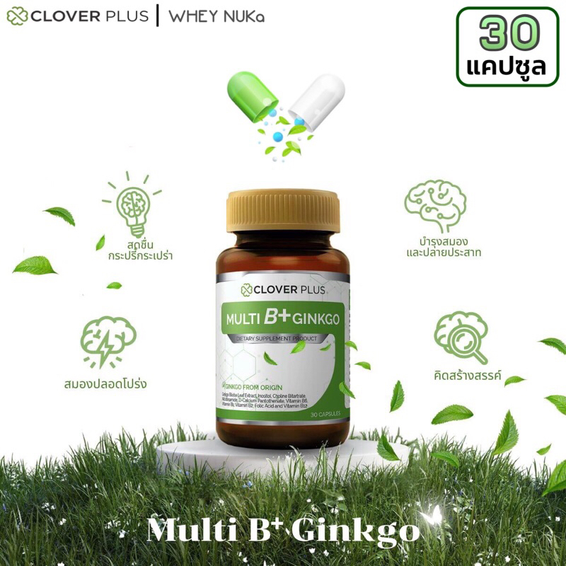 Clover Plus Multi B+ Ginkgo มัลติบี พลัส จิงโกะ สารสกัด ใบแป๊ะก๊วย บำรุงสมอง ความจำ ระบบปลายประสาท