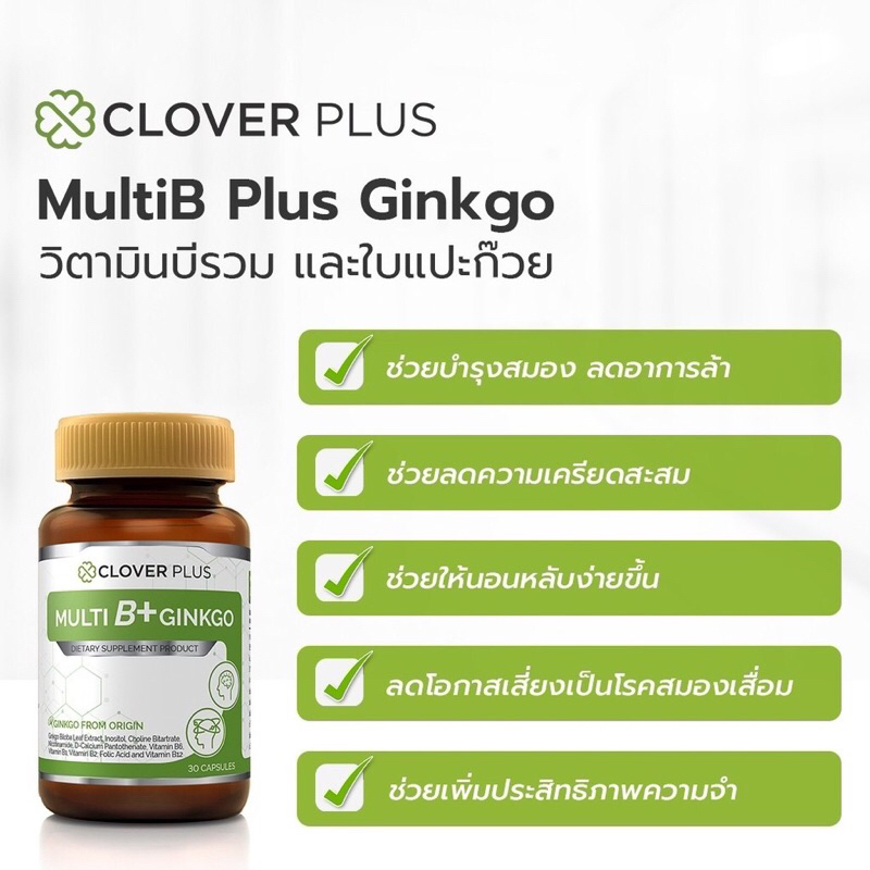 Clover Plus Multi B+ Ginkgo มัลติบี พลัส จิงโกะ สารสกัด ใบแป๊ะก๊วย บำรุงสมอง ความจำ ระบบปลายประสาท