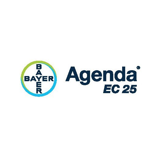 อาเจนด้า 25 อีซี Agenda ec 25 Bayer ปลวก ของแท้ 100% ผลิตใหม่ 2024 น้ำยากำจัดปลวก รูปที่ 2