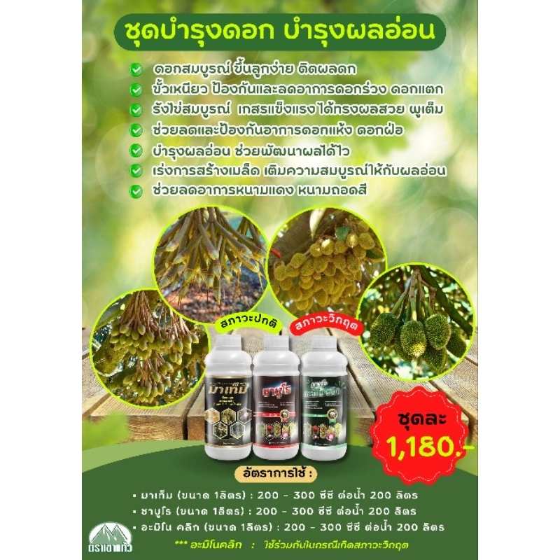 ชุดบำรุงดอก บำรุงผลอ่อน มาเท็ม(1L)+ชาบูโร(1L)+อะมิโนคลิก(1L)