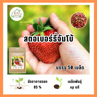 เมล็ดพันธุ์ สตอเบอร์รี่จัมโบ้ บรรจุ 50 เมล็ด