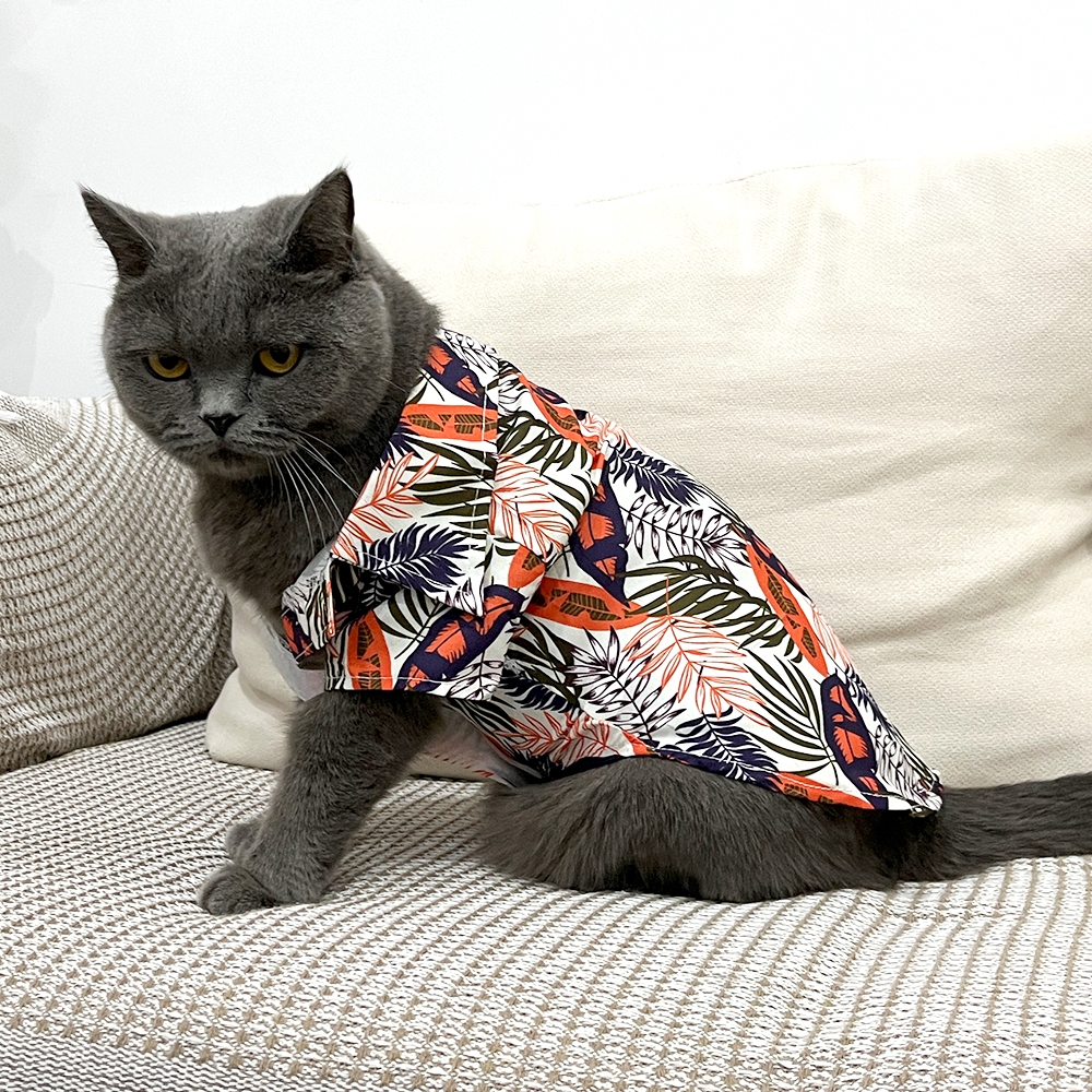 PetStern เสื้อยืด พิมพ์ลายดอกไม้ ระบายอากาศ เสื้อสุนัข สไตล์ฮาวาย ชุดแมว สัตว์เลี้ยงแฟนซี S-XL - รูปที่ 3