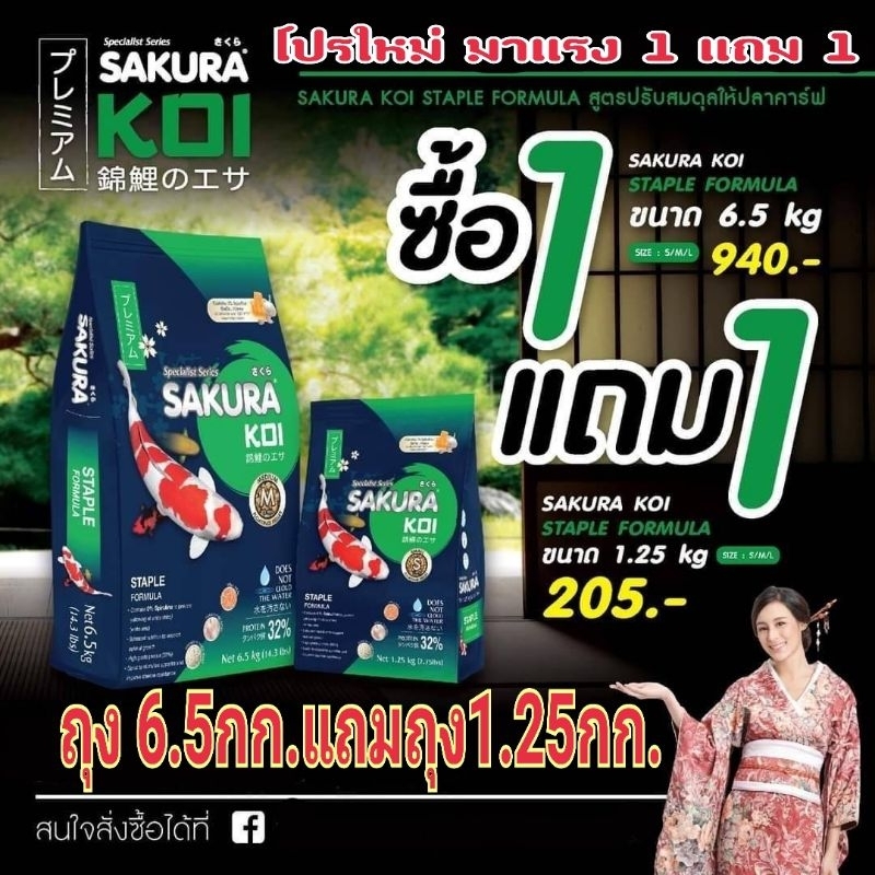 อาหารปลาซากุระโค่ย สูตร Staple ซื้อถุง​ 6.5 kg.แถม​​ 1​.25kg. และ 1kg. SAKURA KOI 💥อาหารผลิตใหม่ หมดอายุ 2026-2027