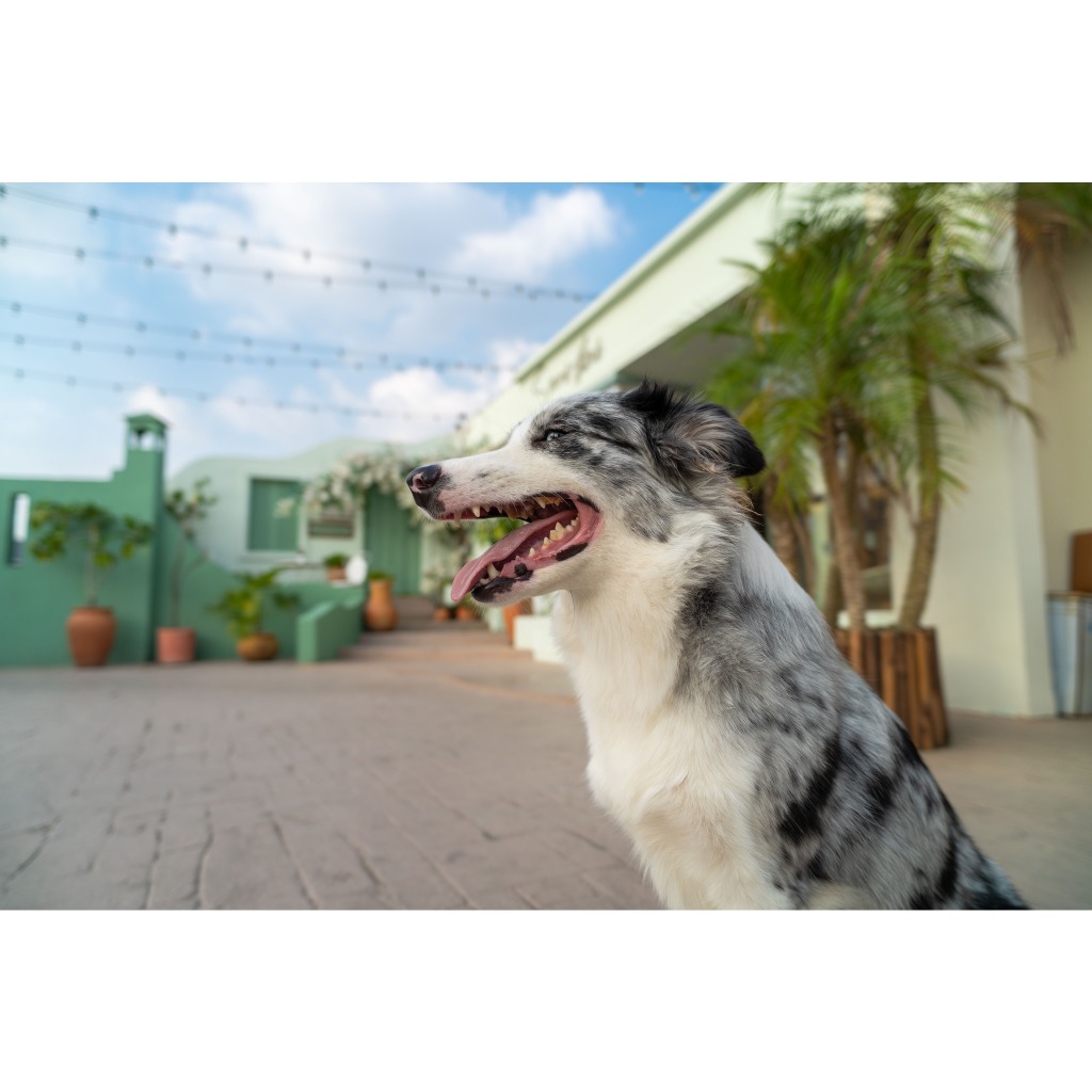 รูปภาพ 3