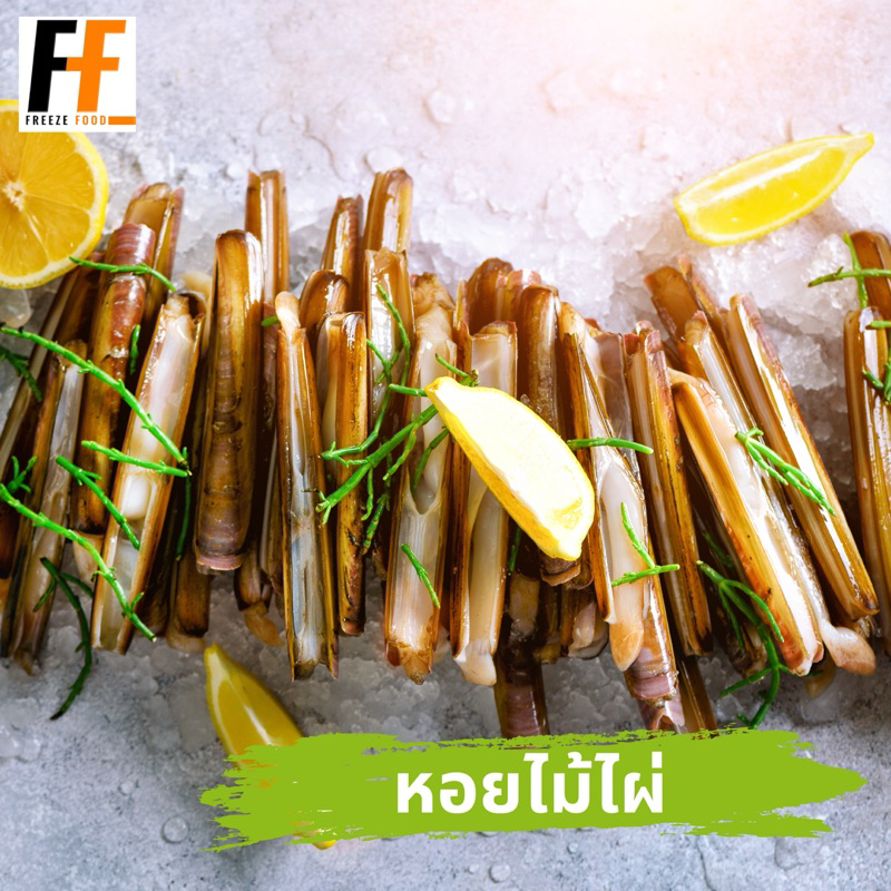 หอยไม้ไผ่ทั้งฝา 500 กรัม | RAZOR CLAM