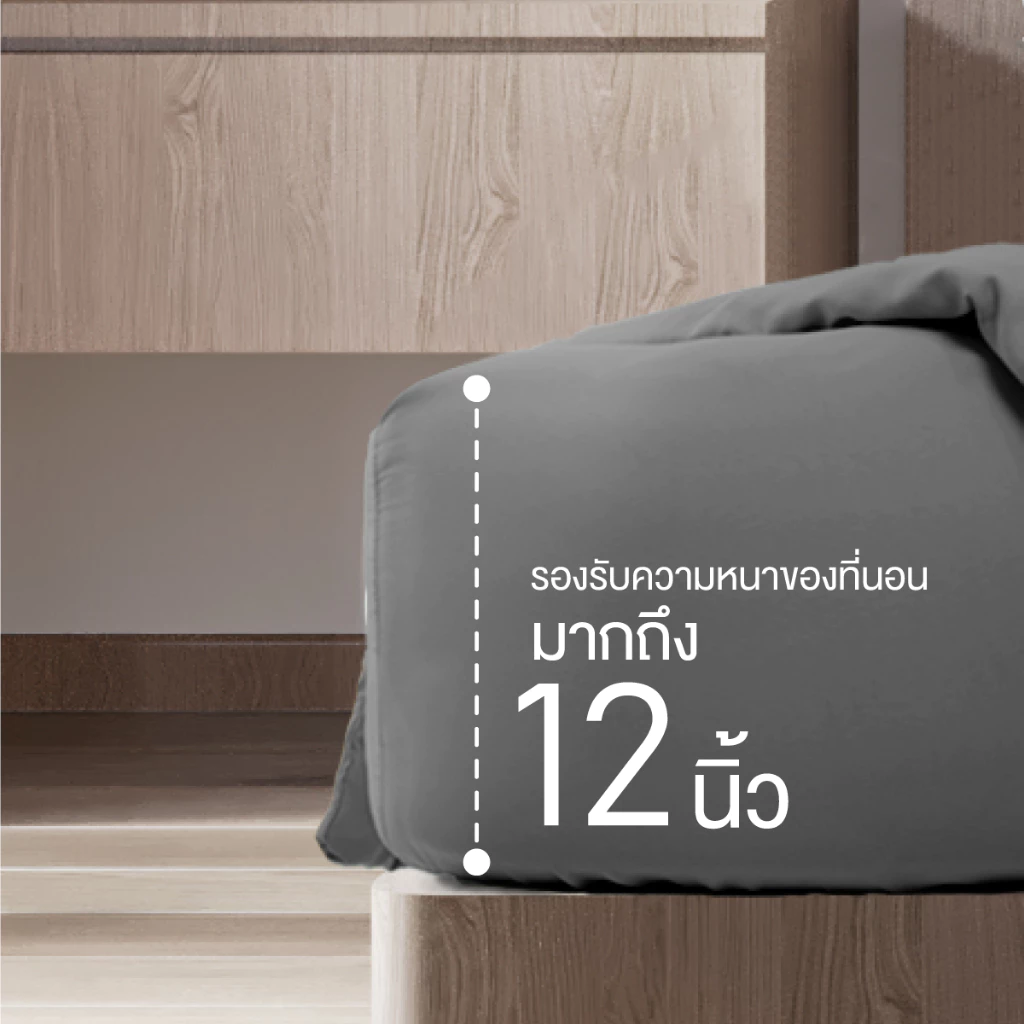 ibed ชุดเซ็ทผ้าปูที่นอน สีเทา สีดำ Mono Tone Collection thumbnail 5
