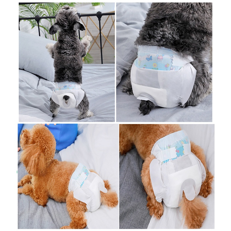 รูปภาพ 7