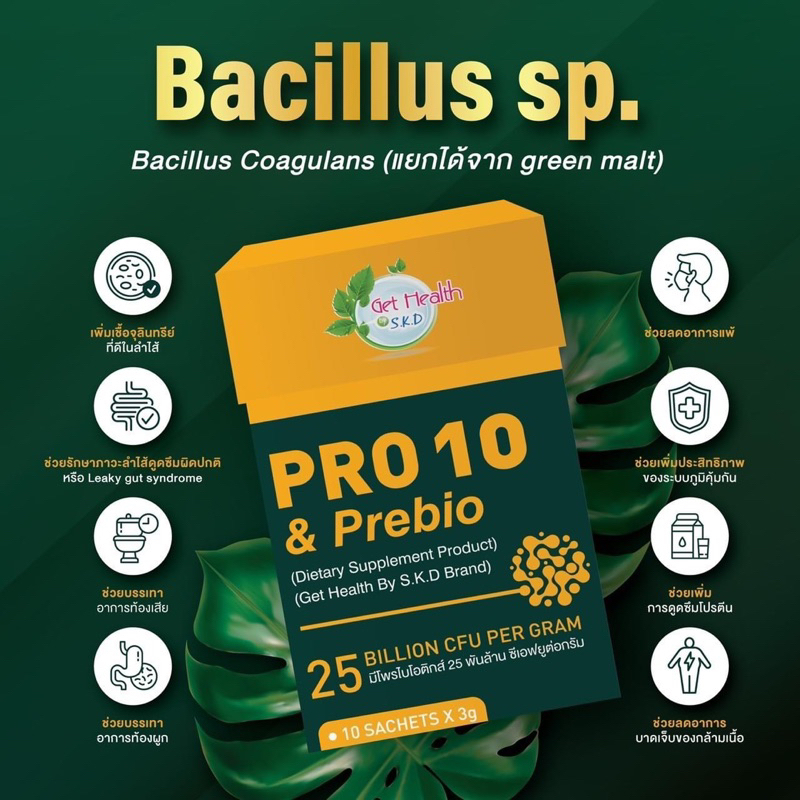 PRO10 PREBIO probiotics ช่วยขับถ่าย ปรับสมดุลลำไส้