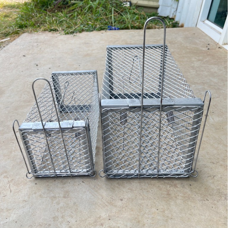 กรงดักหนู ที่ดักหนู กับดักหนู สีเงิน หนาแข็งแรง มีสปิง2ตัว