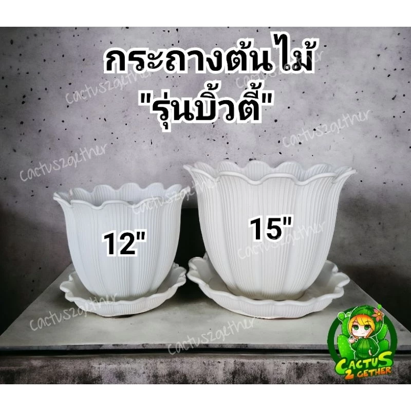 กระถางรุ่น"บิวตี้" พร้อมจานรอง6นื้ว/8นิ้ว/10นิ้ว/12นิ้ว/15นิ้ว✅️รับประกันความหนา ทน เหนียว