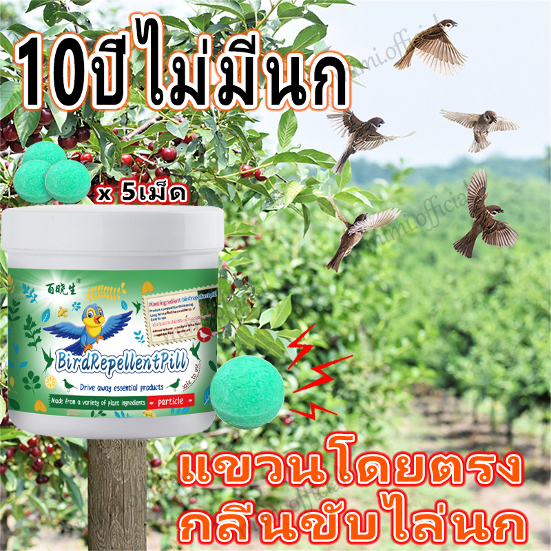 🐦ไล่นก 10000เมตรไม่มีนก ก้อนไล่นกพิราบ ที่ไล่นกพิราบ ก้อนไล่นก การกำจัดที่มีประสิทธิภาพและยาวนาน ใช้ที่บ้านได้