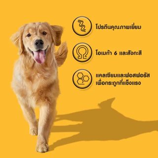 เพดดิกรี อาหารสุนัขโต ชนิดเม็ด ขนาด 3 กิโลกรัม PEDIGREE DOG FOOD CHICKEN VEGETABLE 3 KG