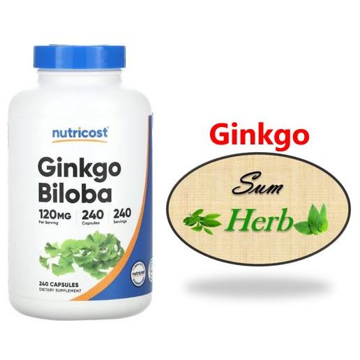 (พร้อมส่ง) Nutricost, Ginkgo Biloba, 120 mg, 240 Capsules.