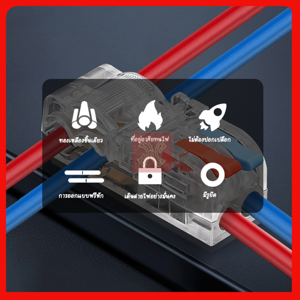 รูปภาพ 5