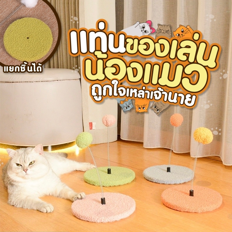 ฐานตกแมว🐱 ของเล่นแมว ฐานสปริงแบบตั้งพื้น เด้งดึ๋ง สำหรับตกแมว🩷✨