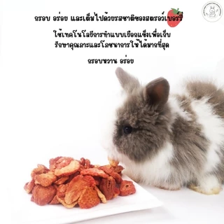 (Dried Strawberry สตรอเบอรี่อบแห้ง 60กรัม) ผลไม้อบแห้งขนมสำหรับสัตว์เลี้ยงขนาดเล็ก