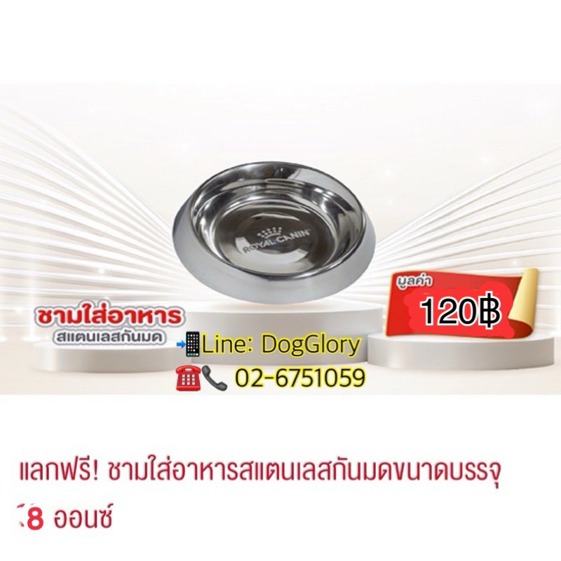 สินค้าฟรี‼️ Royal canin ชามอาหาร สแตนเลส 8oz./240มล.
