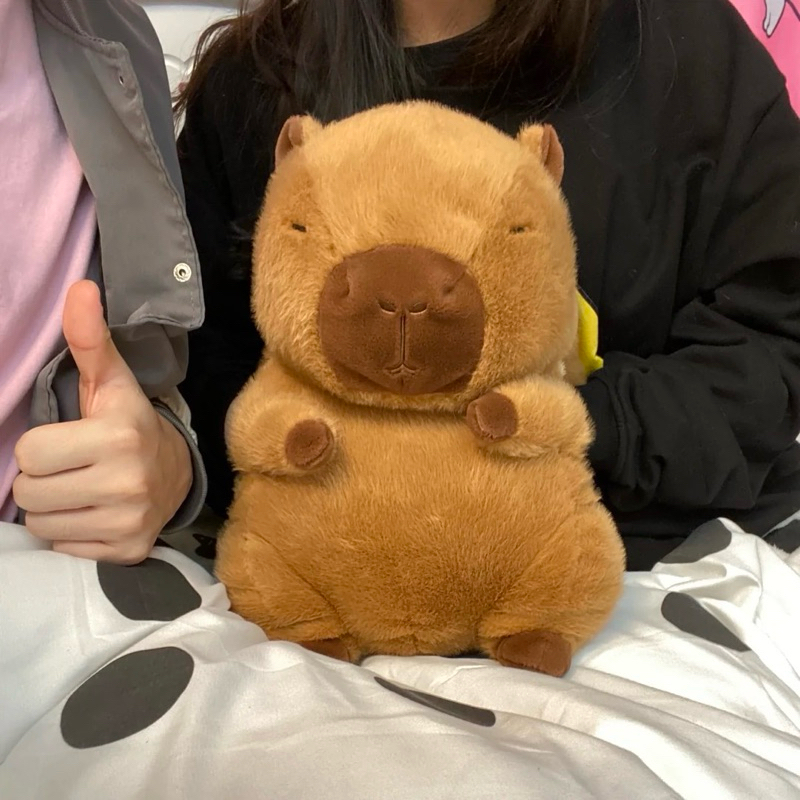 พร้อมส่ง แถมกระเป๋าน้ำร้อน ตุ๊กตา คาปิบาร่า Capybara ซุกมือ คลายหนาว ถุงน้ำร้อน ประคบแก้ปวด Nordic style ของขวัญ 23147