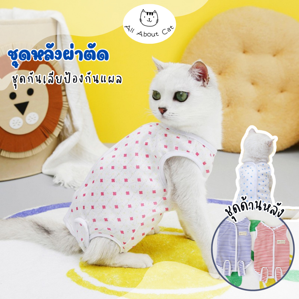 [ ABC cat ] ชุดกันเลีย ชุดหลังผ่าตัดสัตว์เลี้ยง เสื้อหลังผ่าตัดกันเลียแผล 006