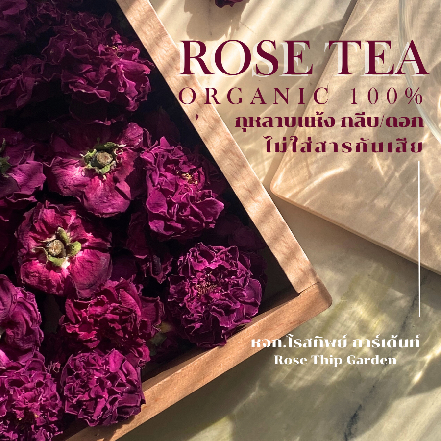 ชากุหลาบ กลีบกุหลาบแห้ง ดอกกุหลาบพันธุ์มอญ ใส่ขนมอาหาร ไม่มีคาเฟอีน Premium Rose Tea Organic 100% | Rose Thip Garden