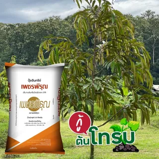 ปุ๋ย ปุ๋ยอินทรีย์ เพชรพิรุณ อินทรีย์วัตถุสูง ใบเขียว เร่งโต พืช สวน พืชไร่ ปุ๋ยเร่งราก ปุ๋ยเร่งใบ