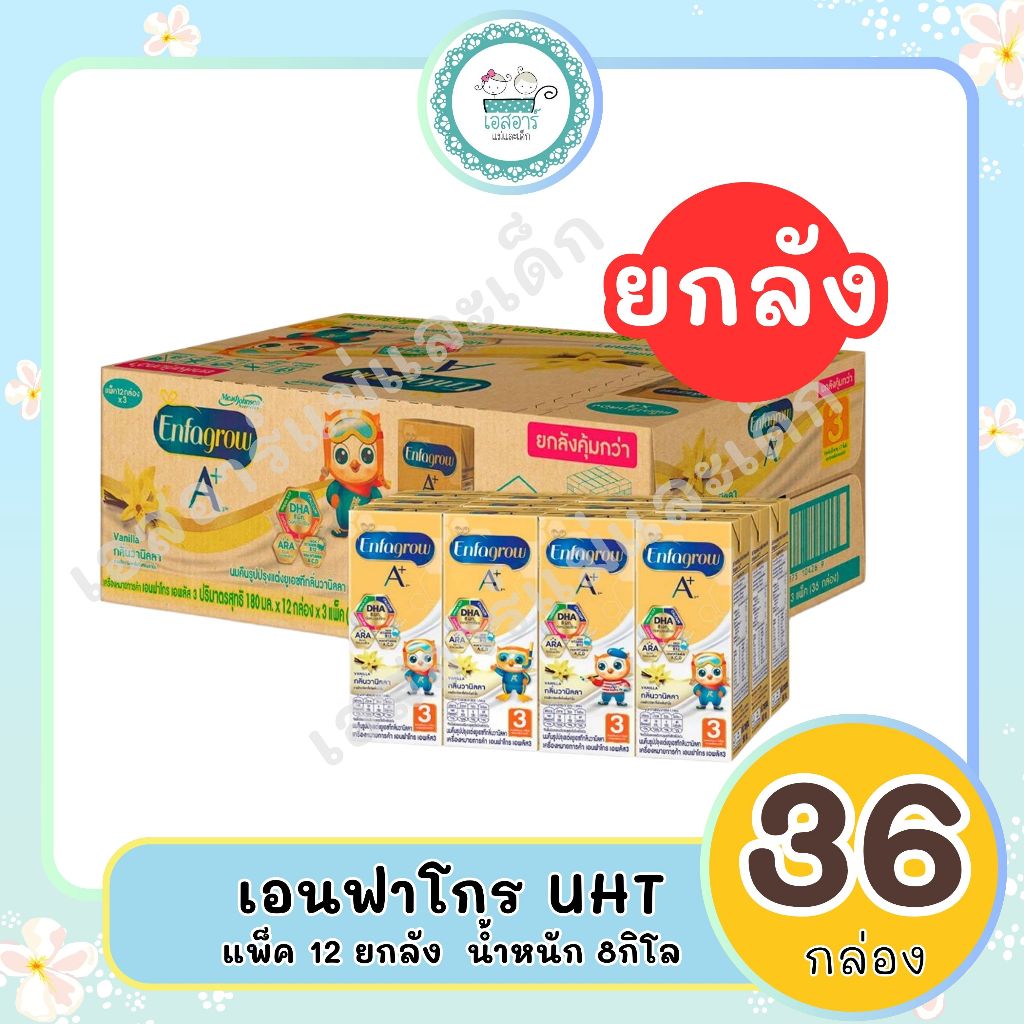 เอนฟาโกร เอพลัส UHT สูตร 3 รสวนิลา 180 มล. แพ็ค 12 ยกลัง 36 กล่อง