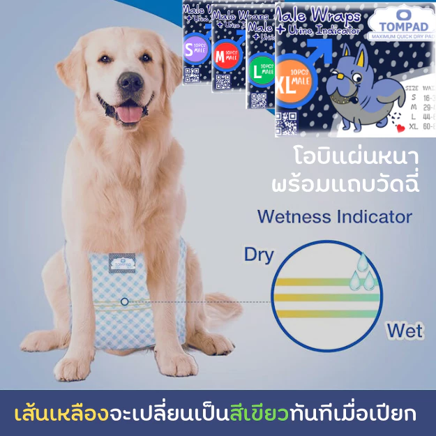 โอบิทอมแพด ผ้าอ้อมสุนัขตัวผู้ มึแถบวัดฉี่ และตีนตุ๊กแกปรับรัดเอวง่าย ผ้าอ้อมสุนัขแผ่นหนาให้สัมผัสนุ่ม ซึมซับดี