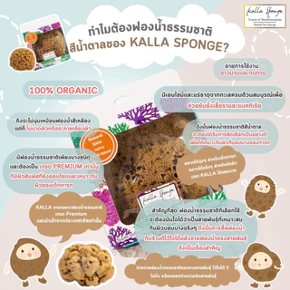 ฟองน้ำธรรมชาติ KALLA SPONGE ชนิด Elephant Ear สีน้ำตาล ฟองน้ำ สำหรับล้างหน้าและอาบน้ำ ทุกเพศทุกวัย