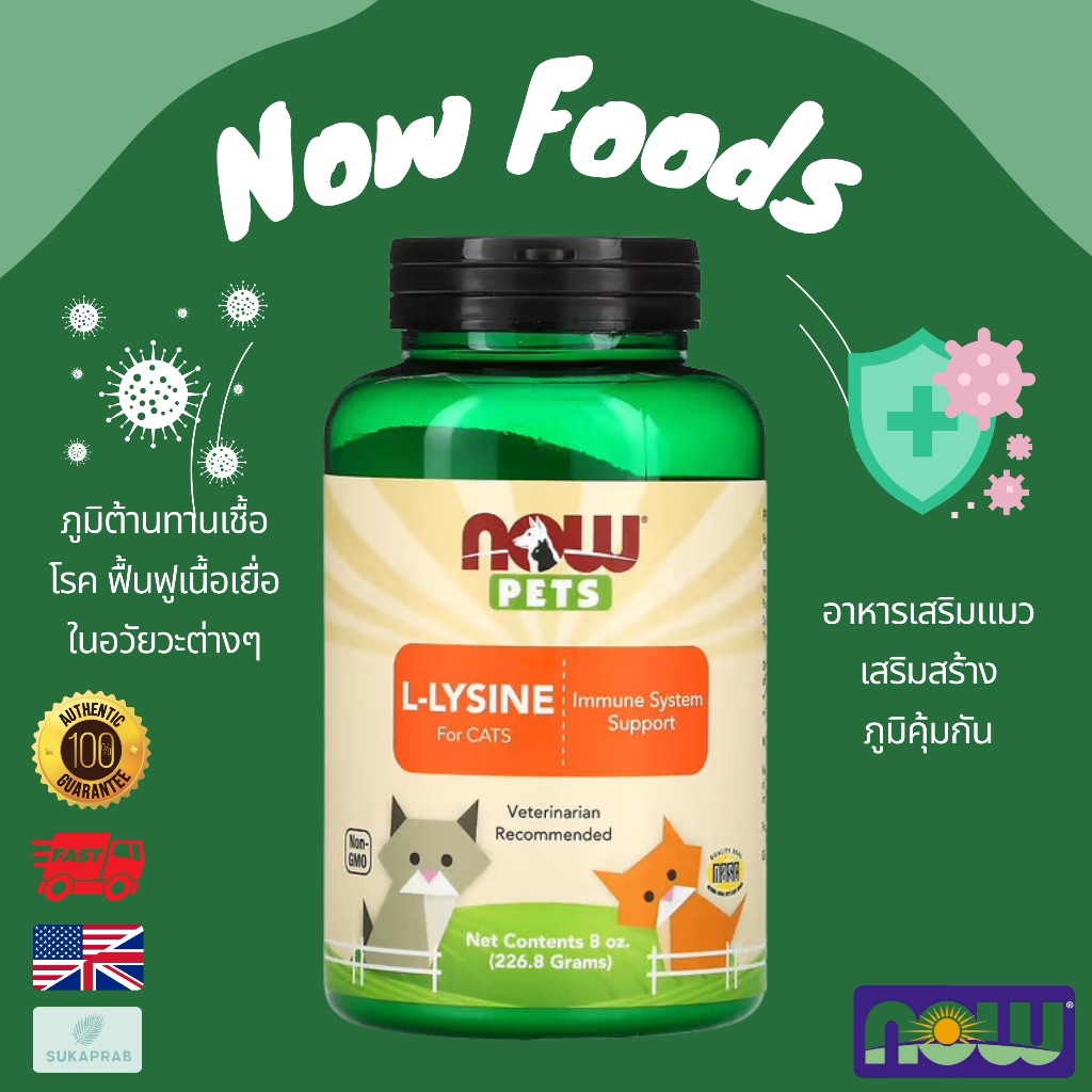 พร้อมส่ง NOW Foods Now Pets L-Lysine for Cats 226.8g Lysine cat ไลซีนแมว ช่วยเสริมสร้างภูมิต้านทาน