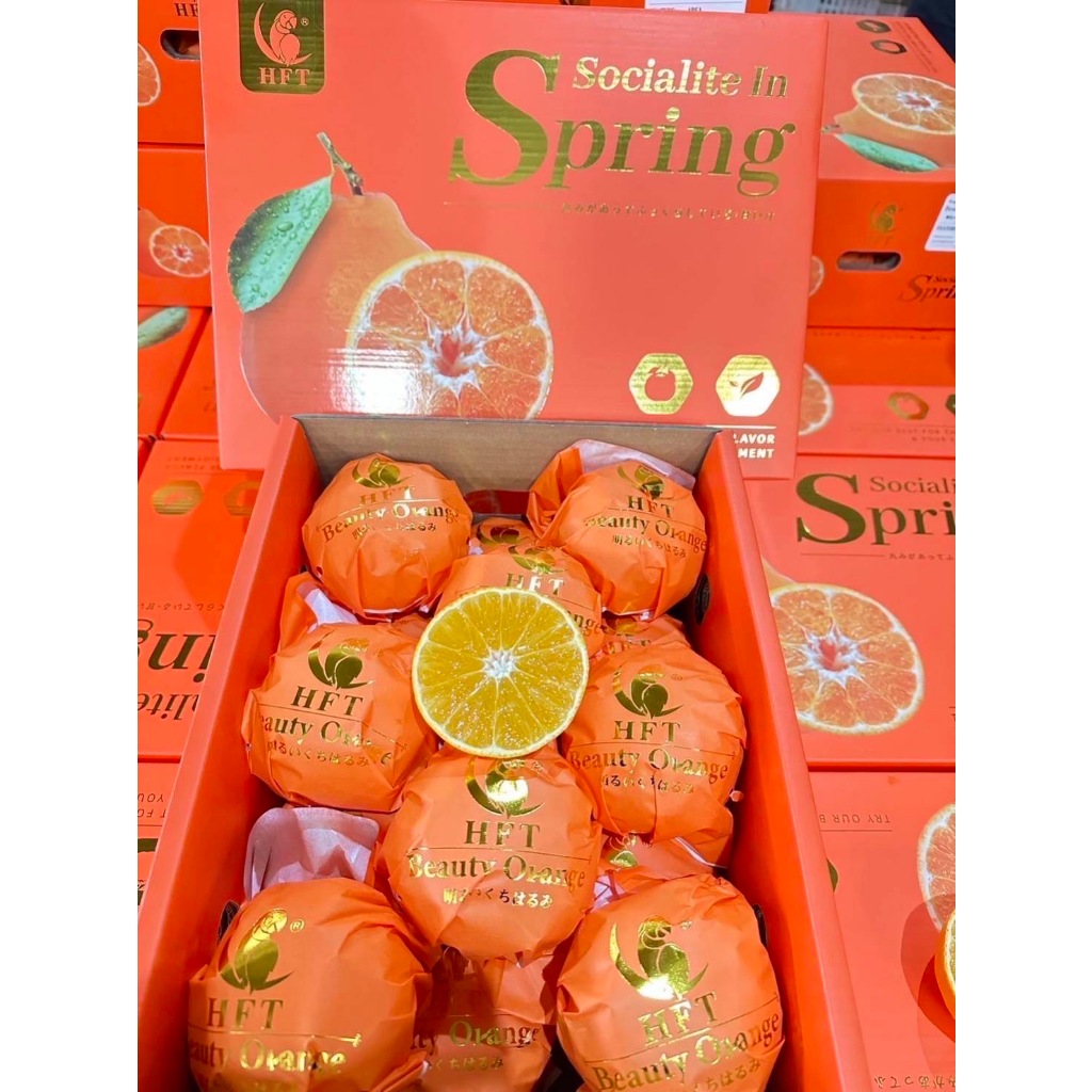 ส้มจุก ญี่ปุ่น ตรานกแก้ว HFT (กล่องสีส้ม)  ลูกขนาดกลาง กล่องละ 21,24 ลูก  (ส้มจุกเดโปตอง ตรานกแก้ว)