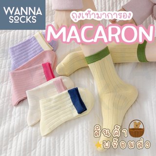 ส่งจากไทย!! ถุงเท้าผู้หญิง สไตล์เกาหลี สีพาสเทล MACARON ถุงเ…