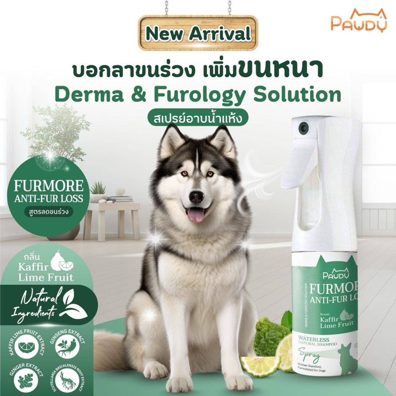 Pawdy Spray สเปรย์อาบน้ำแห้งสุนัข สูตร Natural ลดขนร่วง เสริมสร้างความแข็งแรงให้กับรากขน (ขนาด 150 ml.)