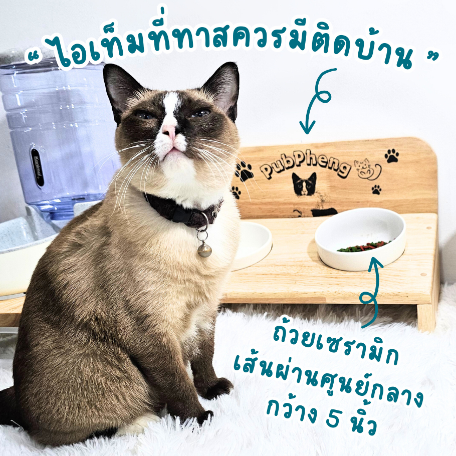   ไม้แท้ KADStudio PetBlow ที่ให้อาหารแมว/ลูกสุนัข กว่า 30 แบบ แถมฟรี! ถ้วยเซารามิก ไม้เคลือบ PU กันรอย กันรา ไม่บวม