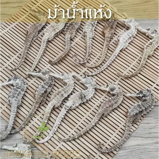 ม้าน้ำแห้ง dried seahorse 海马 สมุนไพรจีน สำหรับ ดอง ตุ๋น ต้ม บดผง อาหารทะเล ม้าน้ำตากแห้ง