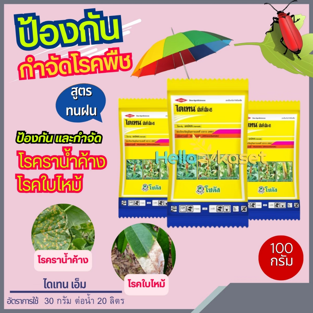 สารกำจัดเชื้อรา ไดเทน เอ็ม แมนโคเซบ โรคเน่า แอนแทรคโนส สารป้องกันกำจัดโรคพืช ขนาด 100 กรัม สูตรทนฝน