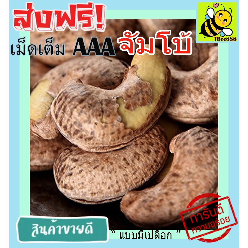 มะม่วงหิมพานต์เผา  จัมโบ้ (พร้อมทาน) 100 กรัม เม็ดเต็ม เม็ดมะม่วงหิมพานต์อบ Cashew Nuts หัวครก ส่งฟรี ราคาถูก AAA