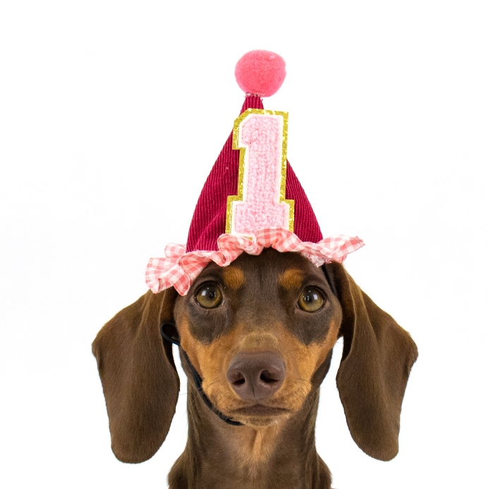 CLAWSET قبعة عيد ميلاد للحيوانات Birthday Baby — صورة 3