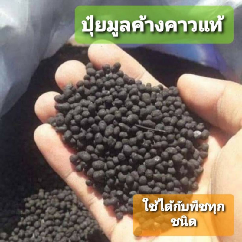 ปุ๋ยมูลขี้ค้างคาว 100%(อัดเม็ด) 1 kg สูตร บำรุงต้น ผล ใบ ราก 1kg