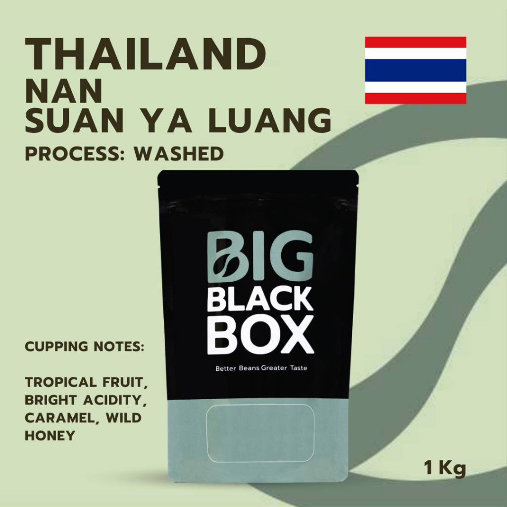 (CAS01-THA-01) สารกาแฟ THAI NAN SUAN YA LUANG (Washed) 1kg