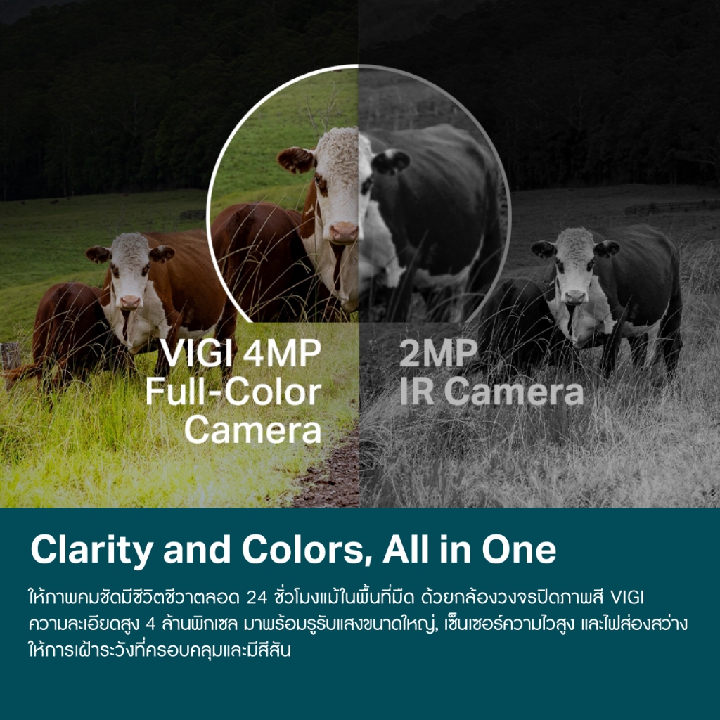 กล้องวงจรปิดใส่ซิม 4G TP-LINK (VIGI C540-4G) VIGI 4MP Outdoor Full-Color 4G Pan Tilt Network Camera ภาพสี 24 ชั่วโมง