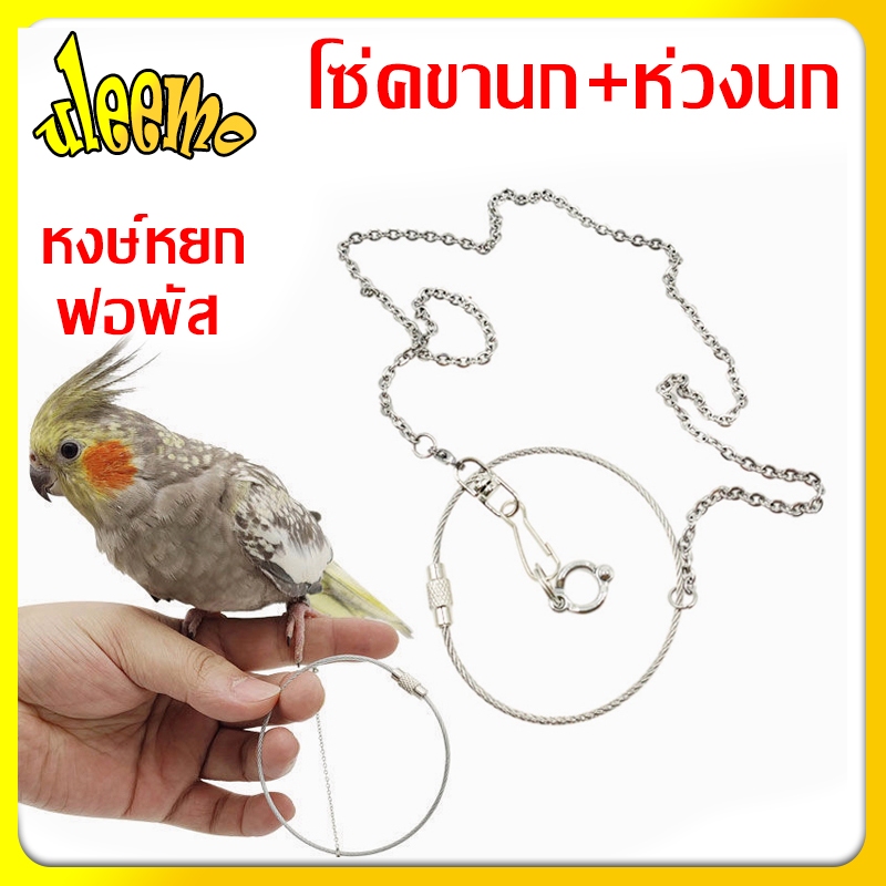 ถูกสุด โซ่คล้องขานก พร้อมห่วงเปิดนก หงษ์หยก ฟอพัส โซ่นก นกแก้ว ห่วงใส่ขานก ห่วงนก