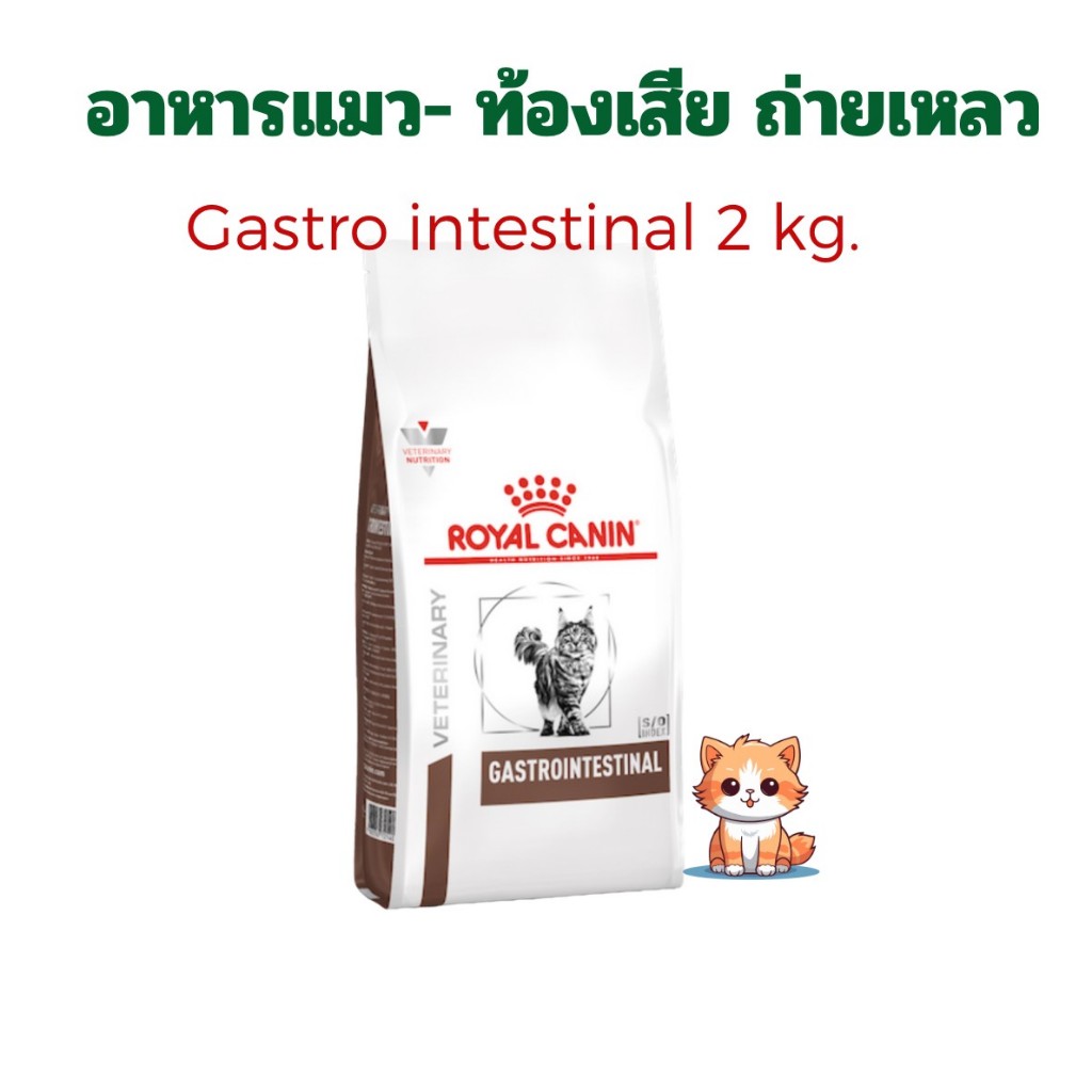 (หมดอายุ : 05/04/2027) royal canin อาหารแมวสำหรับแมวท้องเสีย ถ่ายเหลว gastro intestinal 2 กิโลกรัม